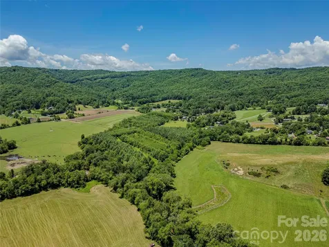 Tbd Canebrake Road Pisgah Forest NC 28768