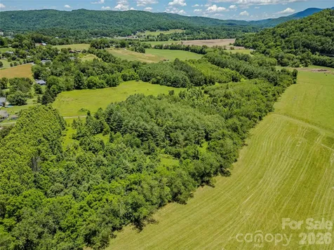 Tbd Canebrake Road Pisgah Forest NC 28768