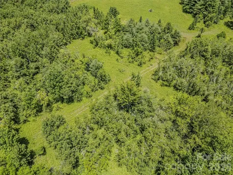 Tbd Canebrake Road Pisgah Forest NC 28768