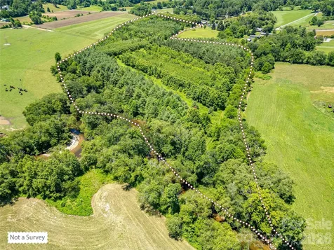 Tbd Canebrake Road Pisgah Forest NC 28768