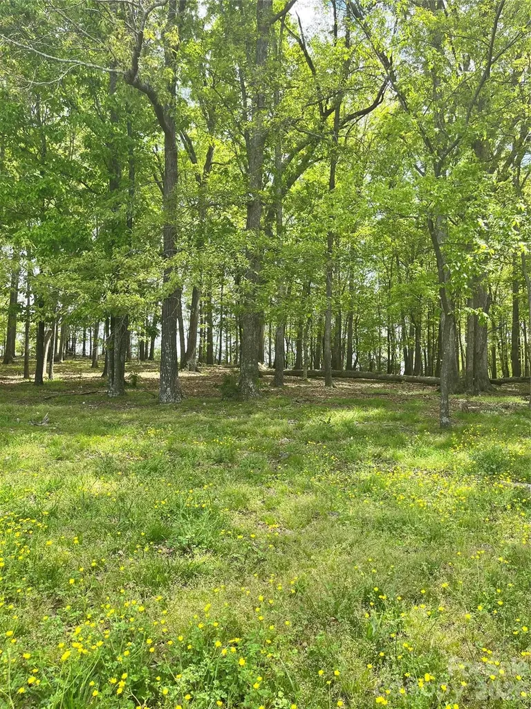 001 Wolf Pond Road Monroe NC 28112