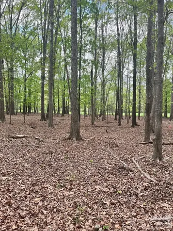 001 Wolf Pond Road Monroe NC 28112