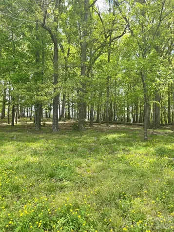 001 Wolf Pond Road Monroe NC 28112