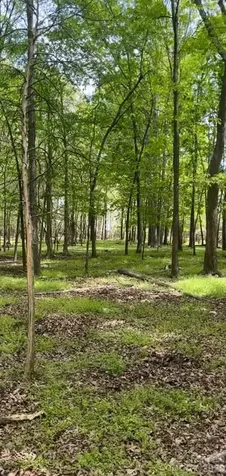 001 Wolf Pond Road Monroe NC 28112