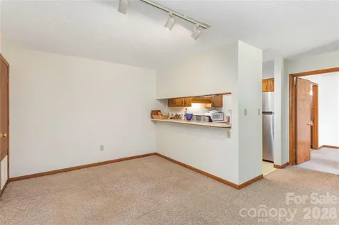 33 Ravencroft Lane Asheville NC 28803