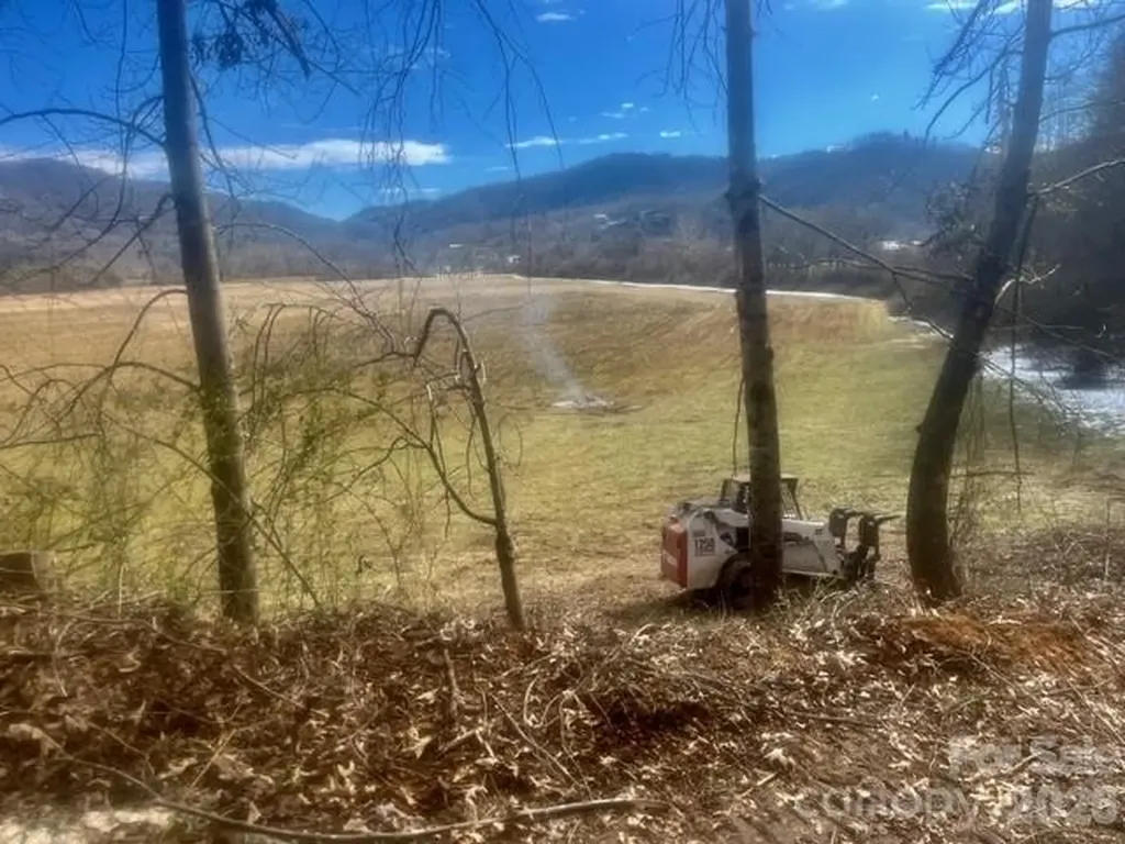 Mini Farm 2 & 3 Tbd Coventry Drive Brevard NC 28712