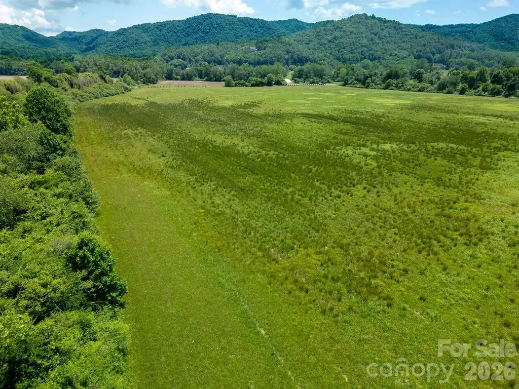 Mini Farm 2 & 3 Tbd Coventry Drive Brevard NC 28712