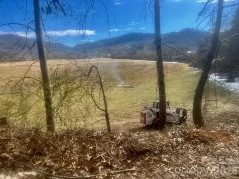 Mini Farm 2 & 3 Tbd Coventry Drive Brevard NC 28712