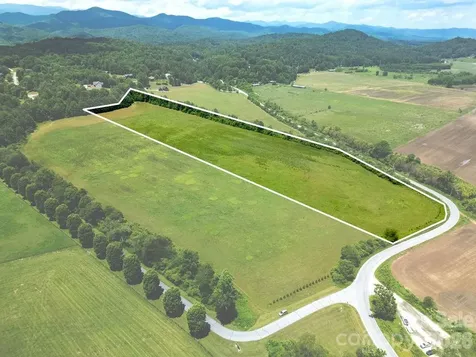 Mini Farm 2 & 3 Tbd Coventry Drive Brevard NC 28712