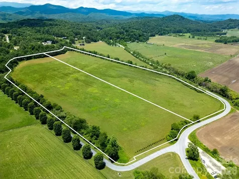 Mini Farm 2 & 3 Tbd Coventry Drive Brevard NC 28712