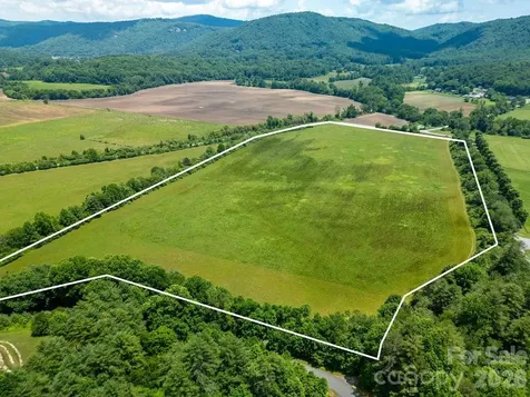 Mini Farm 2 & 3 Tbd Coventry Drive Brevard NC 28712