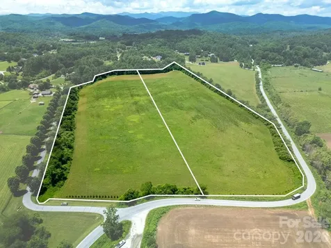 Mini Farm 2 & 3 Tbd Coventry Drive Brevard NC 28712