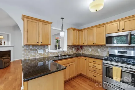 733 Painted Lady Court Rock Hill SC 29732