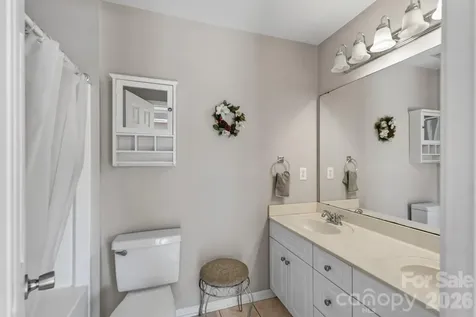 733 Painted Lady Court Rock Hill SC 29732