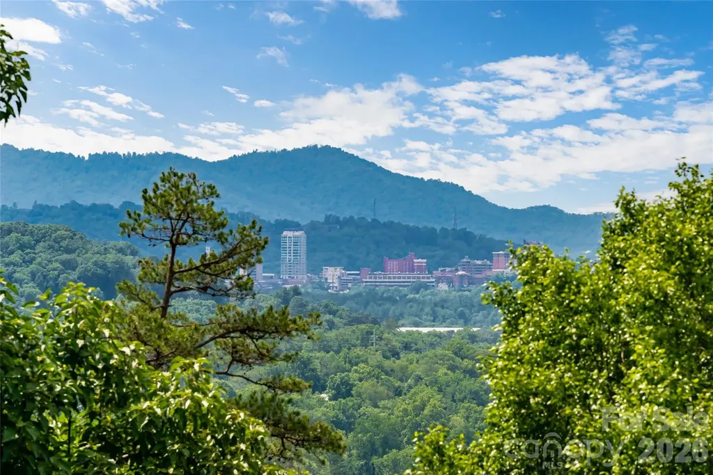 24 Audubon Drive Asheville NC 28804