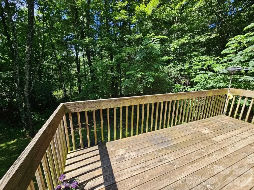 100 Squirrel Lane Sapphire NC 28774