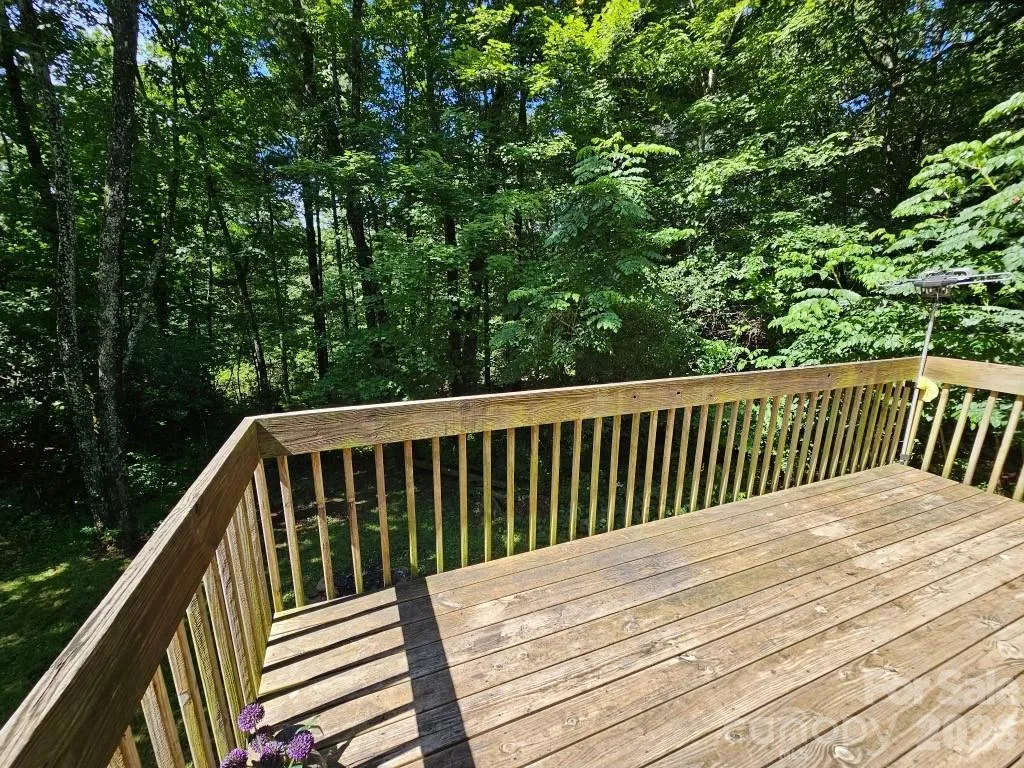 100 Squirrel Lane Sapphire NC 28774