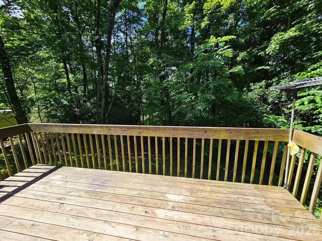 100 Squirrel Lane Sapphire NC 28774