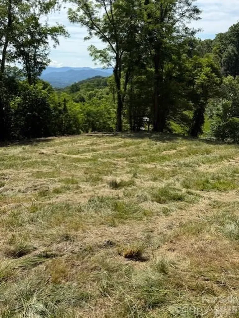#38 Sleepy Hollow Drive Waynesville NC 28785