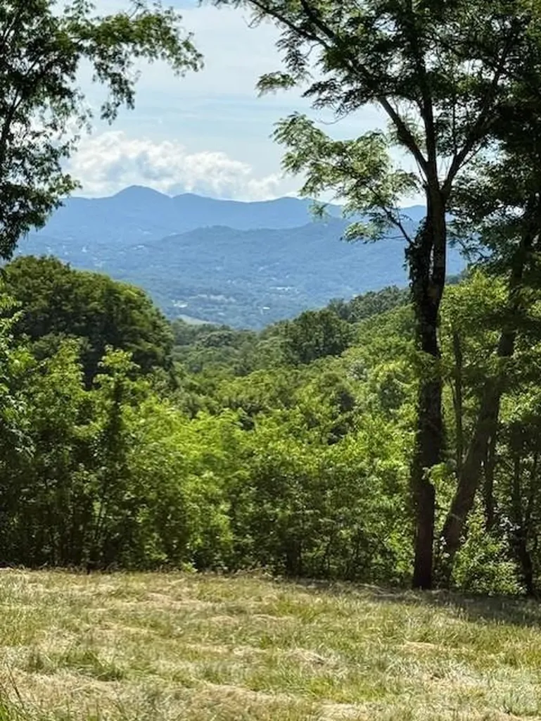 #38 Sleepy Hollow Drive Waynesville NC 28785