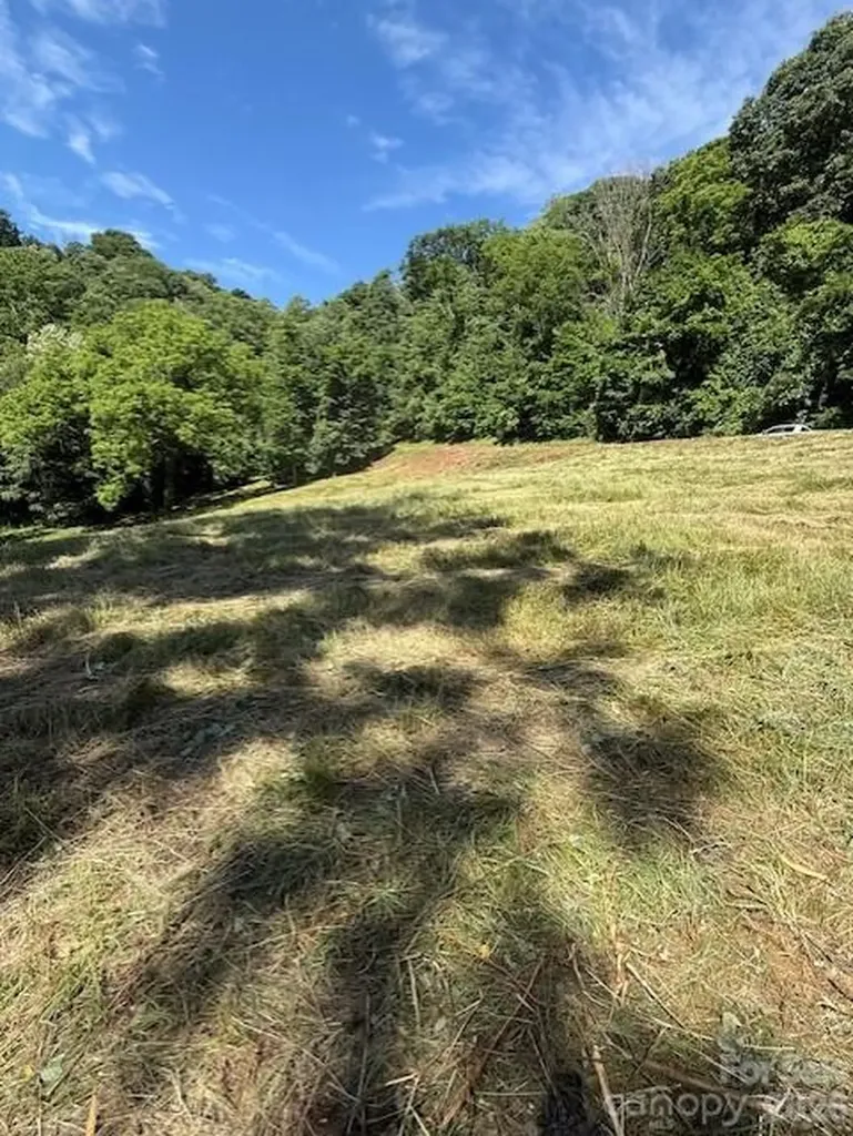 #38 Sleepy Hollow Drive Waynesville NC 28785