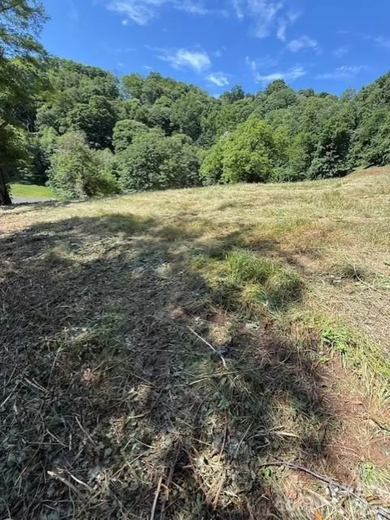 #38 Sleepy Hollow Drive Waynesville NC 28785
