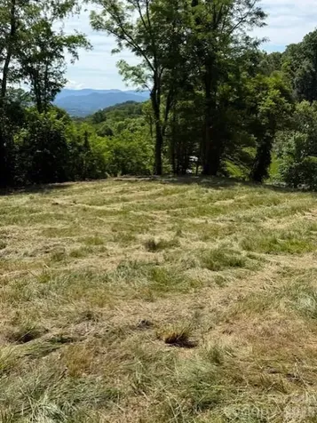 #38 Sleepy Hollow Drive Waynesville NC 28785