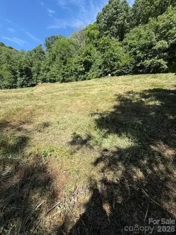 #38 Sleepy Hollow Drive Waynesville NC 28785