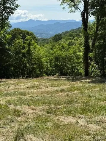 #38 Sleepy Hollow Drive Waynesville NC 28785