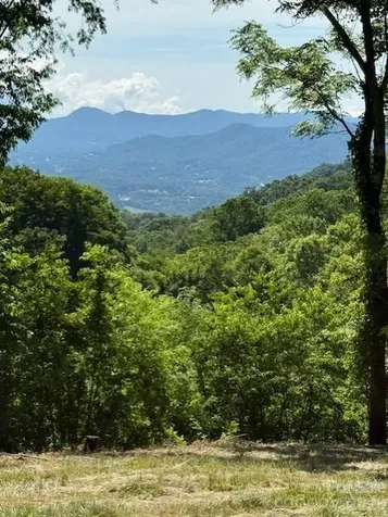 #38 Sleepy Hollow Drive Waynesville NC 28785