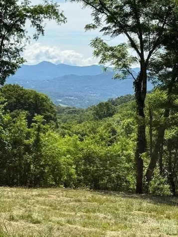 #38 Sleepy Hollow Drive Waynesville NC 28785