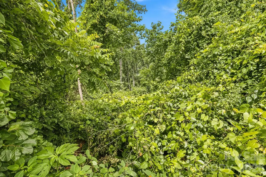 999 Perrion Avenue Weaverville NC 28787