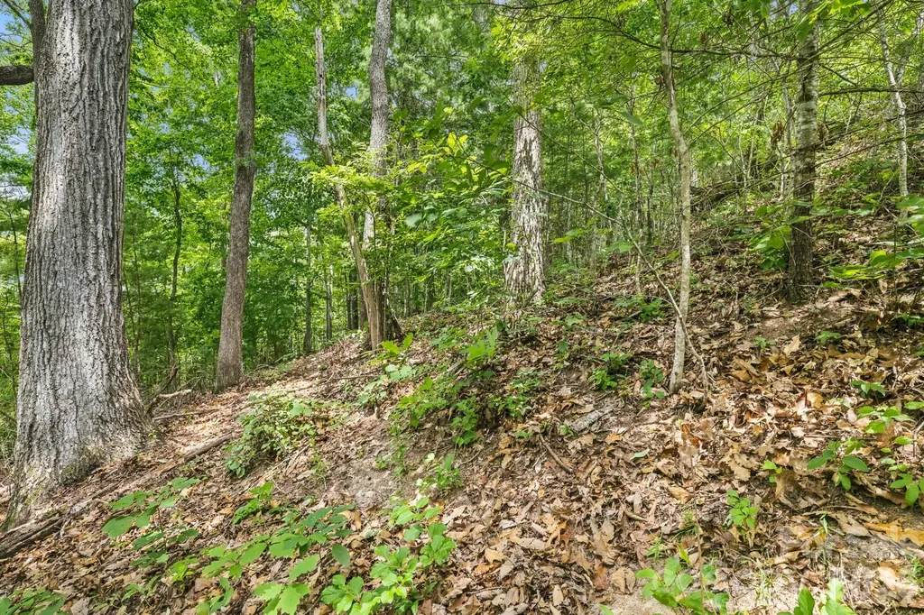 999 Perrion Avenue Weaverville NC 28787