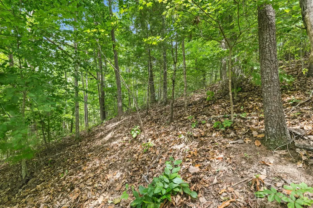 999 Perrion Avenue Weaverville NC 28787