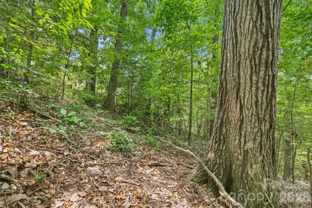 999 Perrion Avenue Weaverville NC 28787