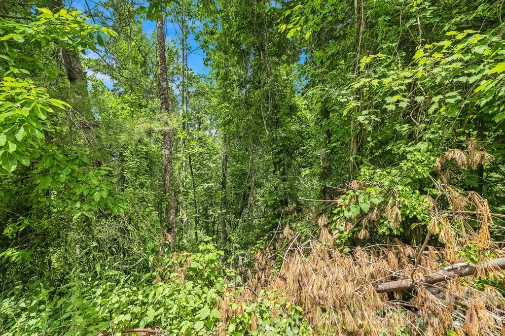 999 Perrion Avenue Weaverville NC 28787