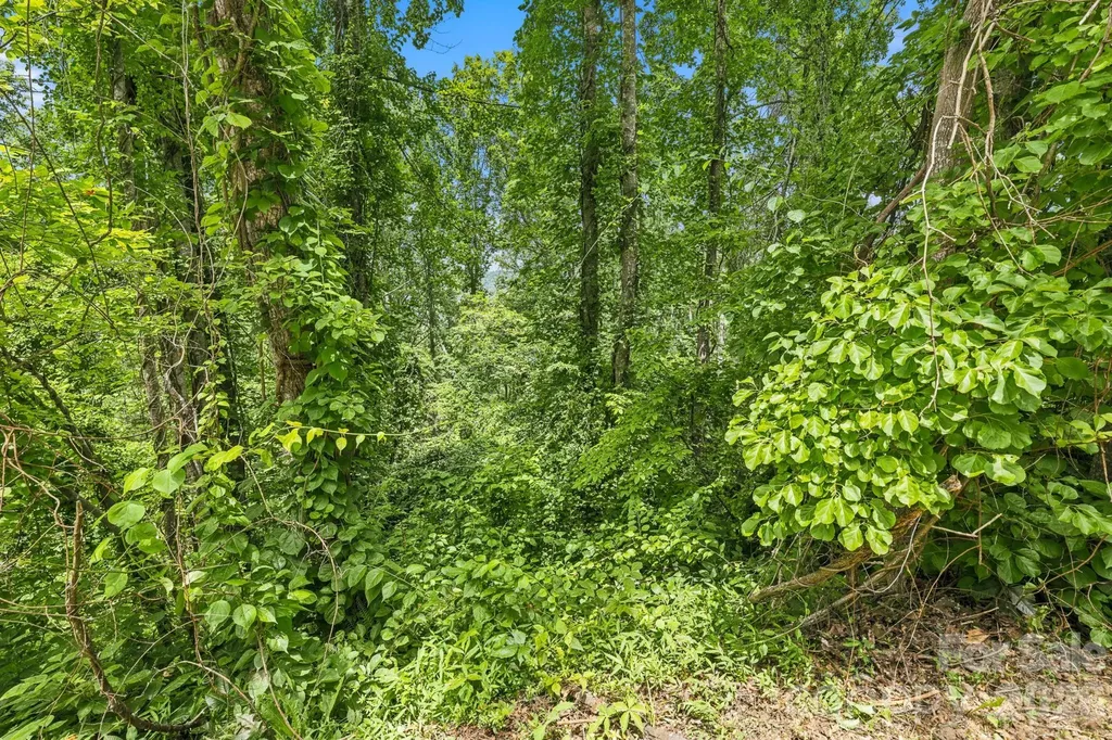 999 Perrion Avenue Weaverville NC 28787