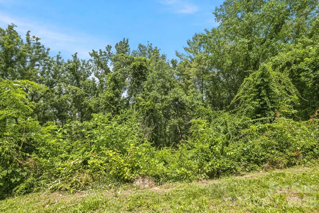 999 Perrion Avenue Weaverville NC 28787