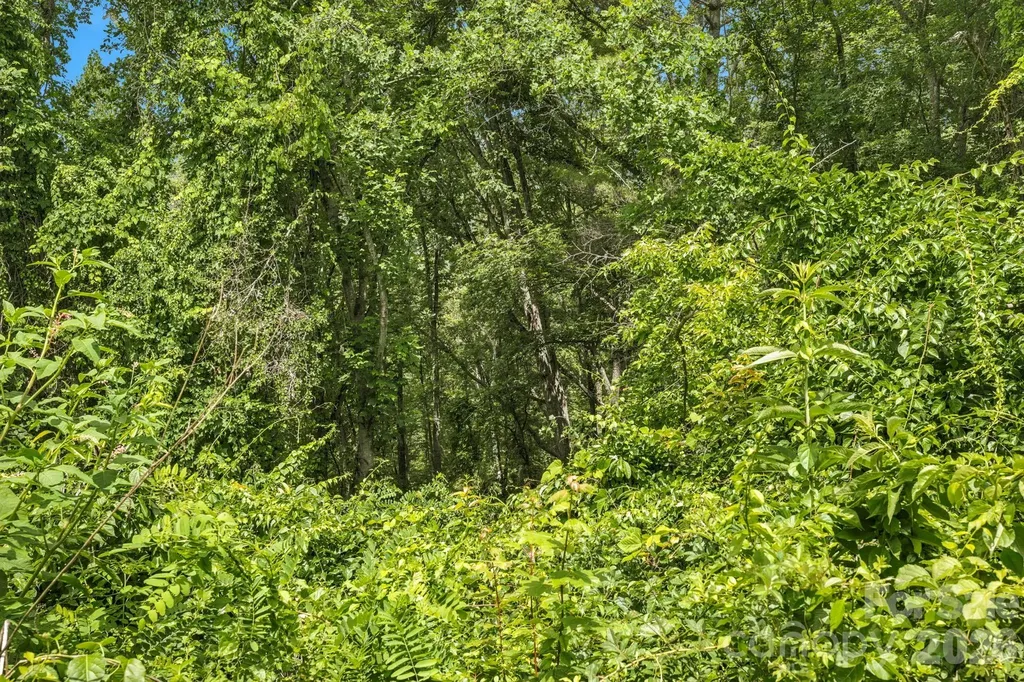 999 Perrion Avenue Weaverville NC 28787