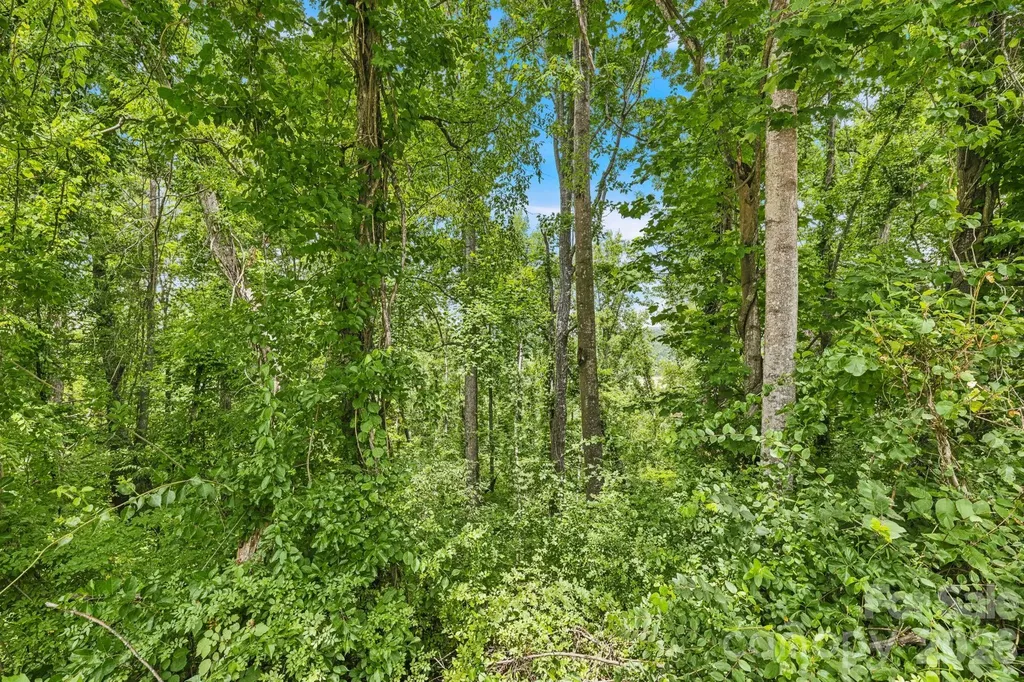 999 Perrion Avenue Weaverville NC 28787