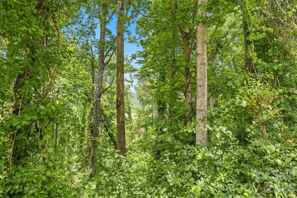 999 Perrion Avenue Weaverville NC 28787