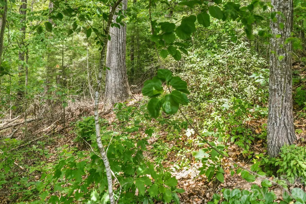 999 Perrion Avenue Weaverville NC 28787