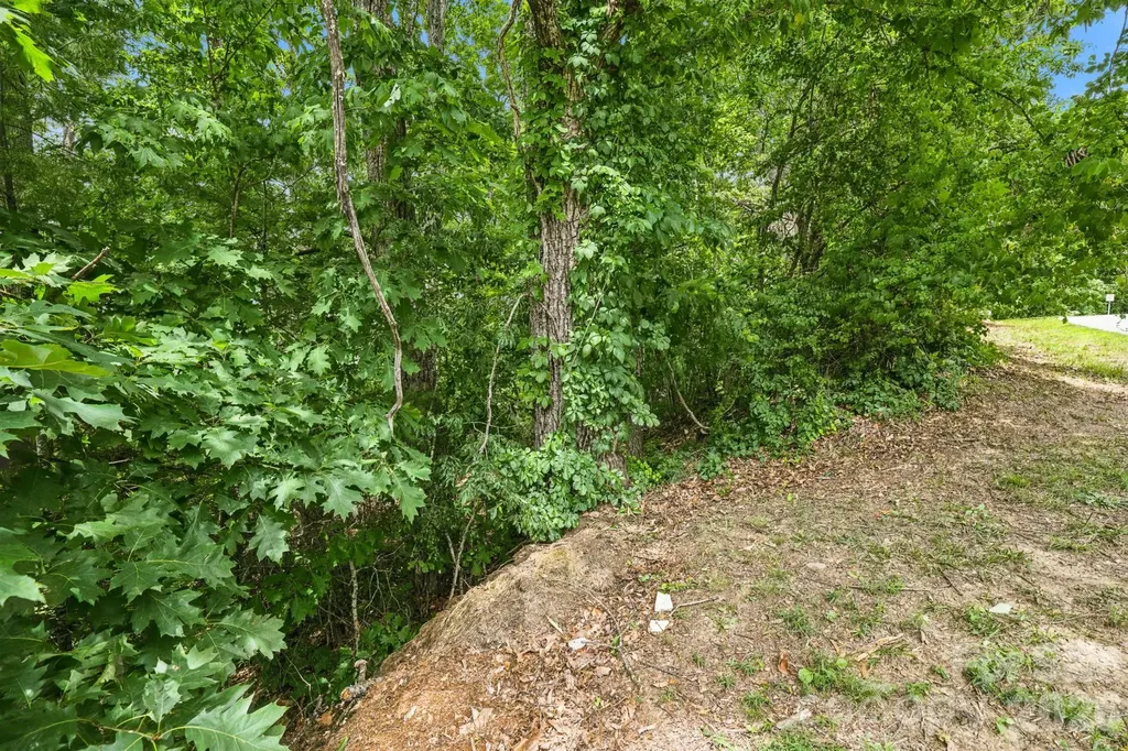 999 Perrion Avenue Weaverville NC 28787