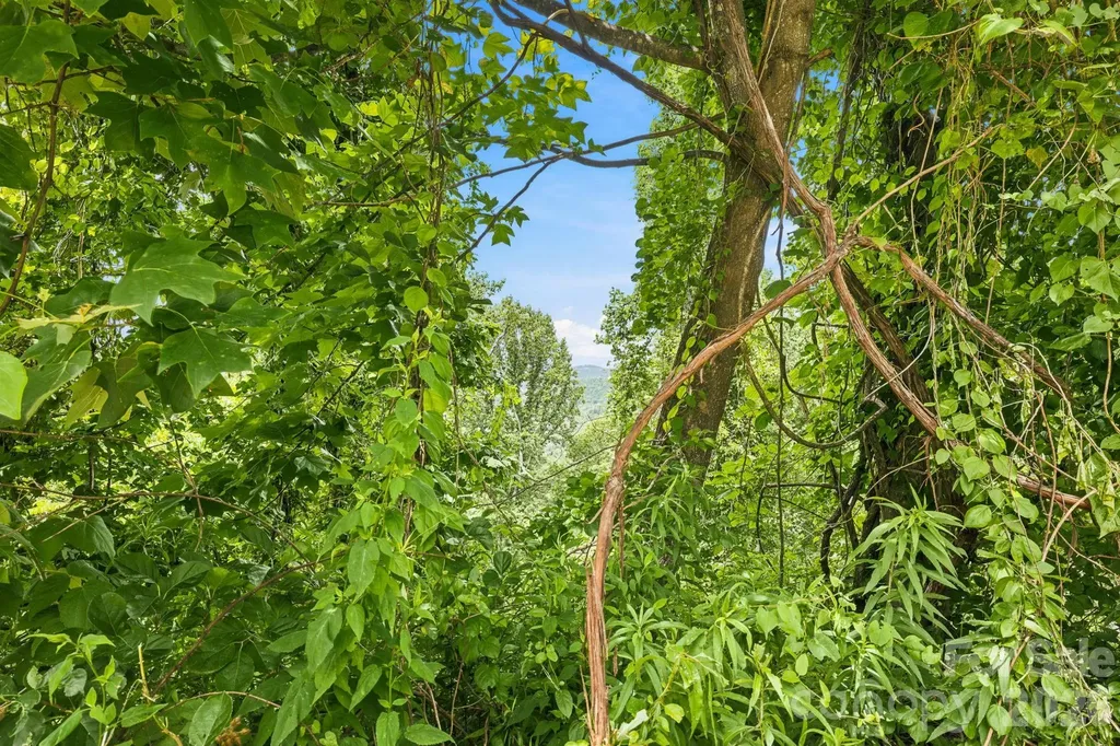 999 Perrion Avenue Weaverville NC 28787