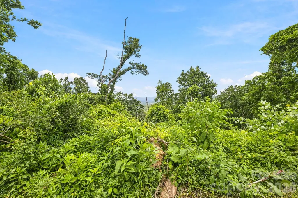 999 Perrion Avenue Weaverville NC 28787