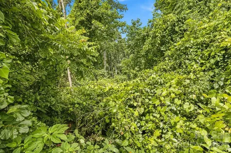 999 Perrion Avenue Weaverville NC 28787