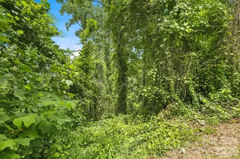 999 Perrion Avenue Weaverville NC 28787