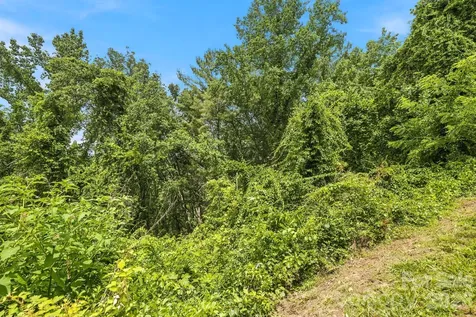 999 Perrion Avenue Weaverville NC 28787