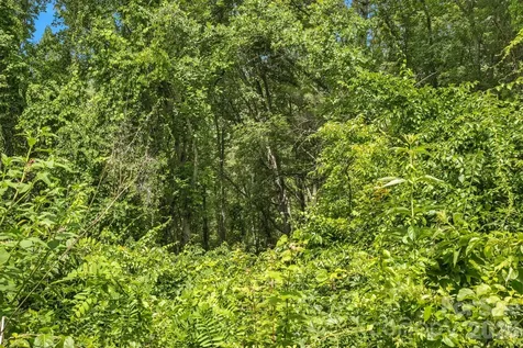 999 Perrion Avenue Weaverville NC 28787