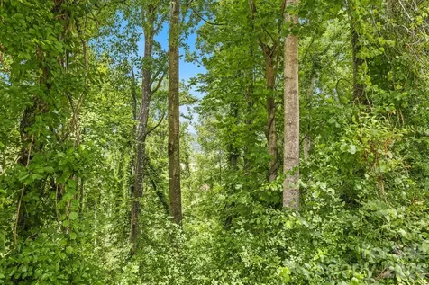 999 Perrion Avenue Weaverville NC 28787